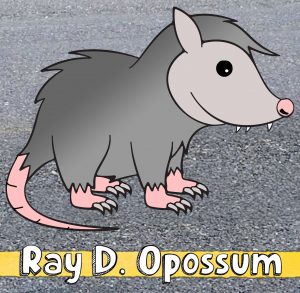 Ray D. Opossum EP